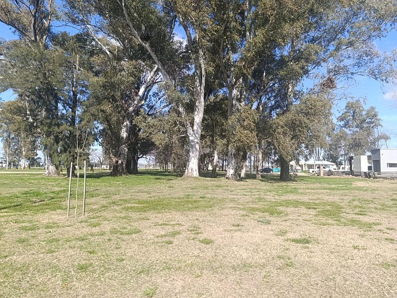 Lote en venta