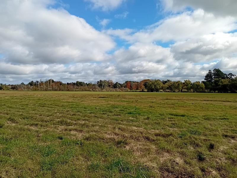 Lote en venta