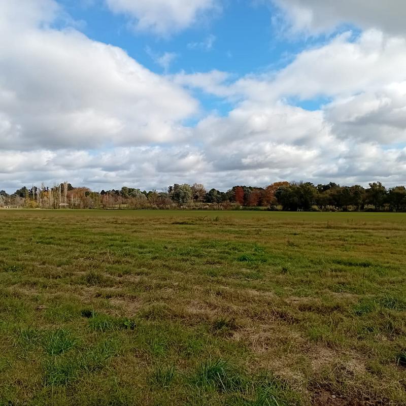 Lote en venta
