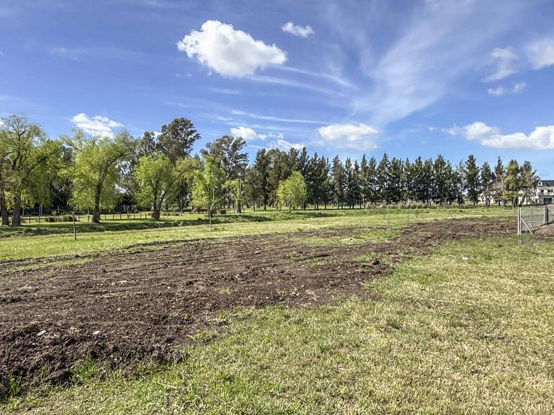 Lote en venta