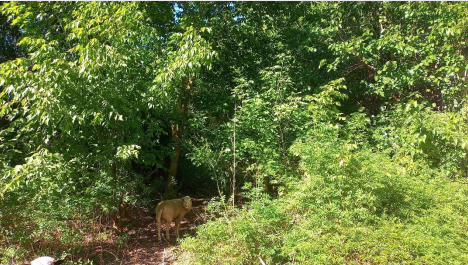 Terreno en venta