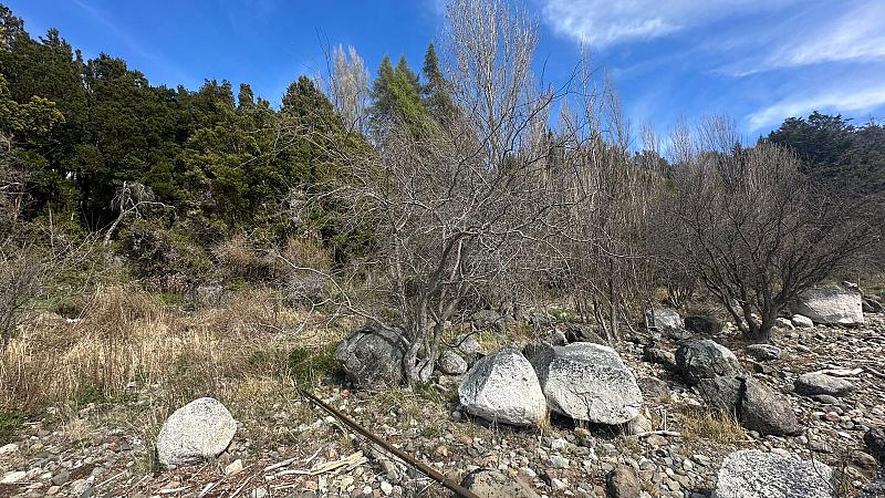 Terreno en venta