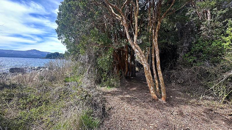 Terreno en venta