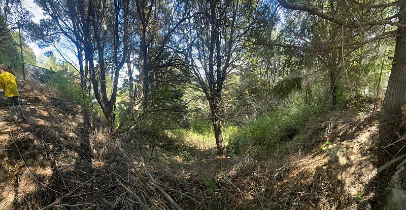 Terreno en venta