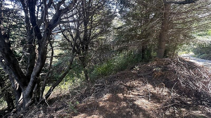 Terreno en venta