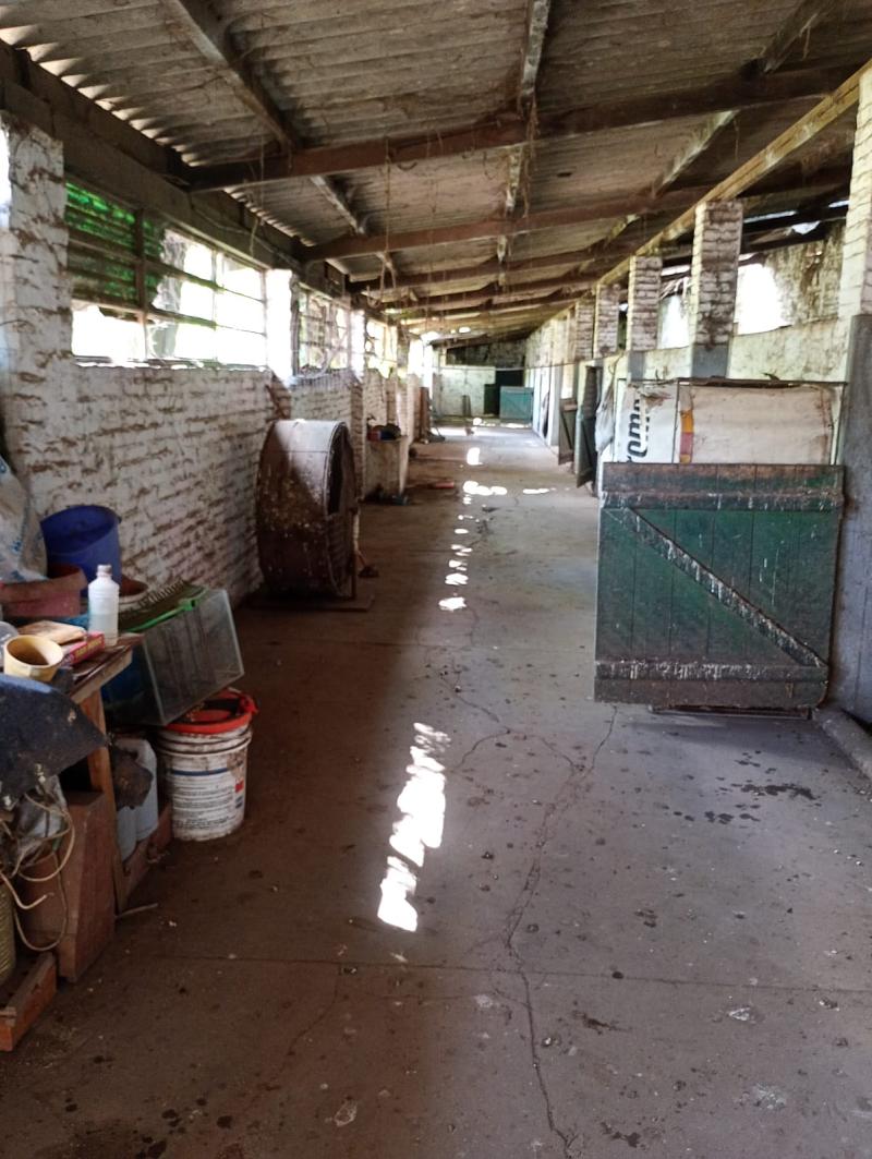Terreno en venta