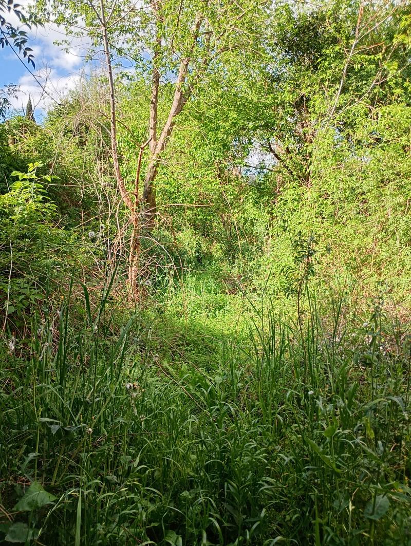 Terreno en venta