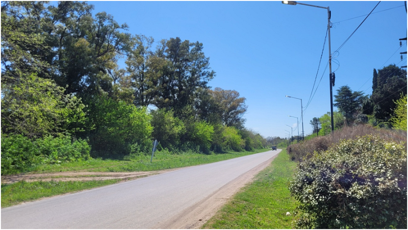 Campo en venta