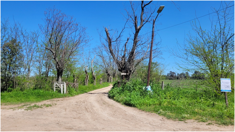 Campo en venta