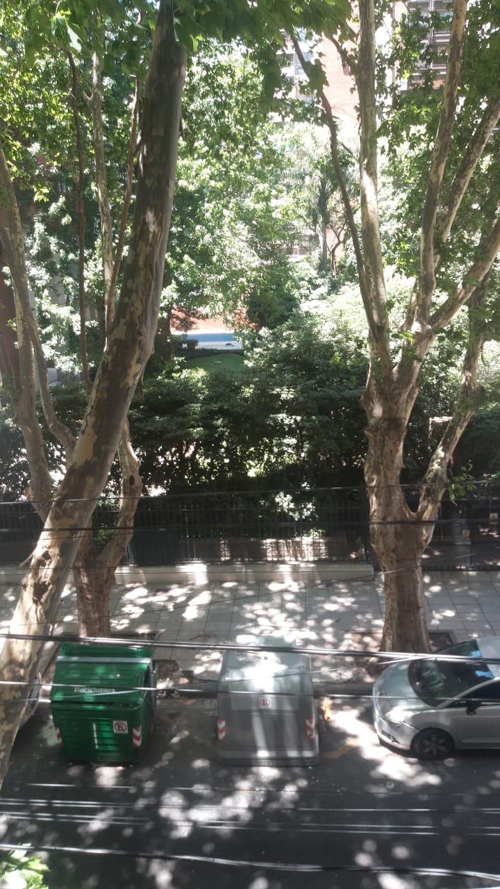 Departamento en alquiler