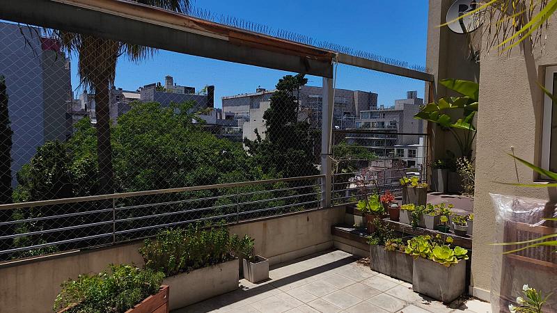 Departamento en alquiler