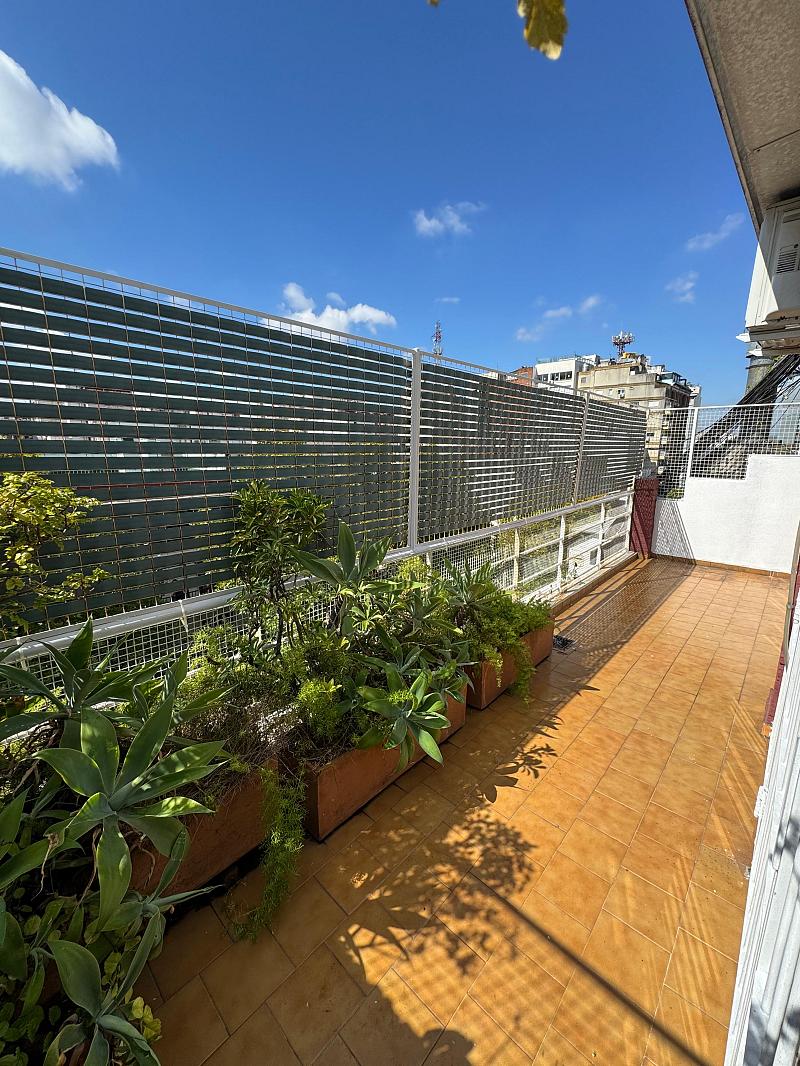 Departamento en alquiler