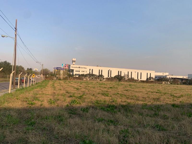 Terreno Industrial en alquiler