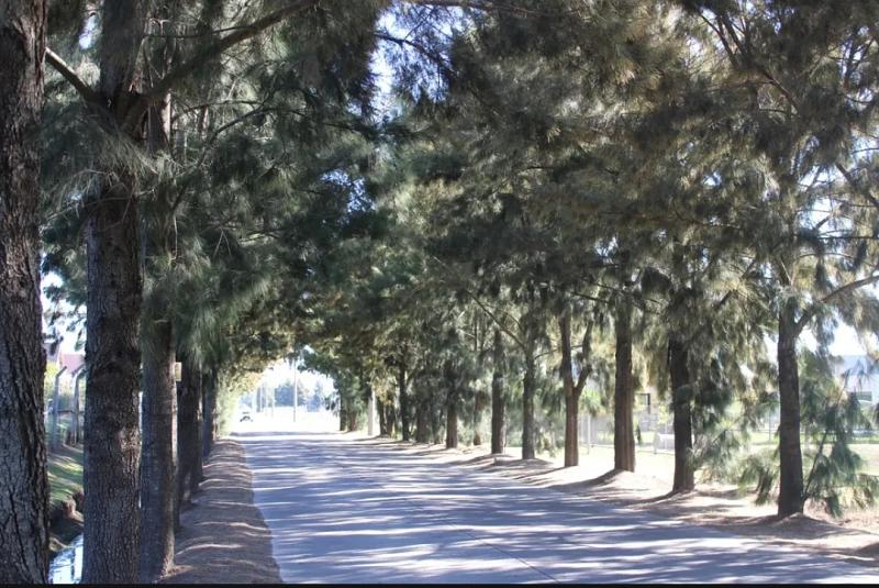 Lote en venta