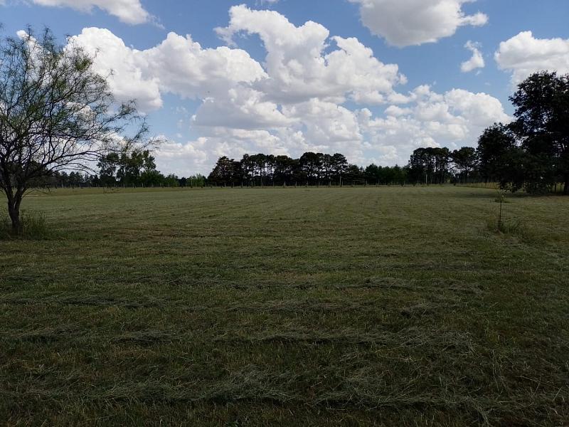 Lote en venta