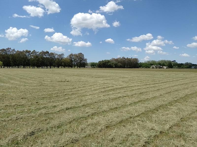 Lote en venta