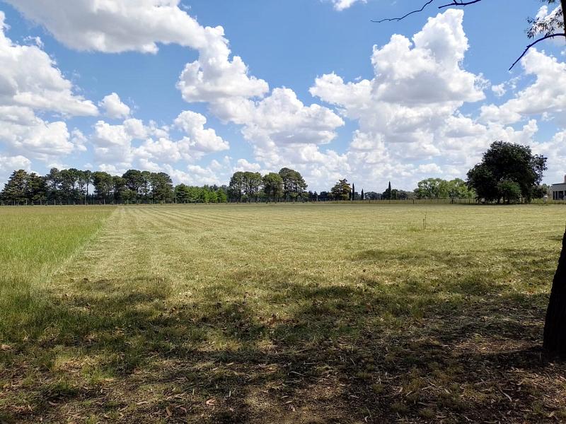 Lote en venta