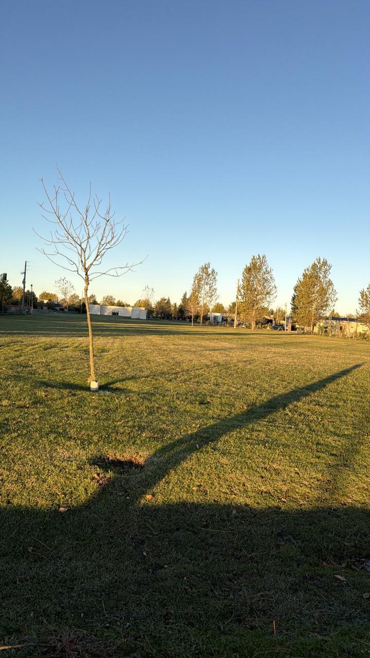 Lote en venta