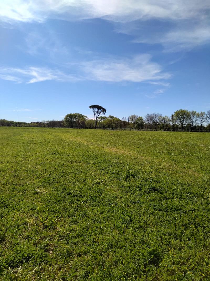 Lote en venta