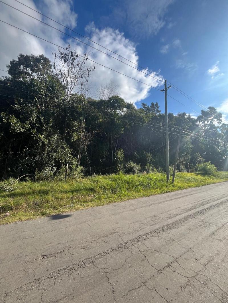 Lote en venta