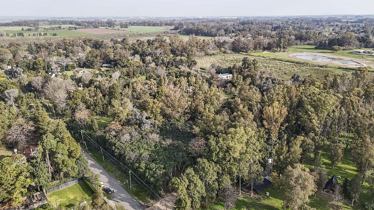 Lote en venta