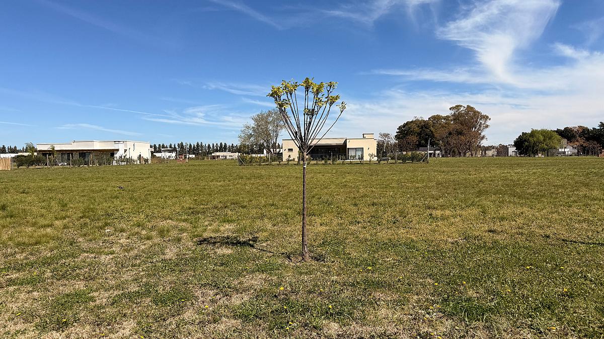 Lote en venta