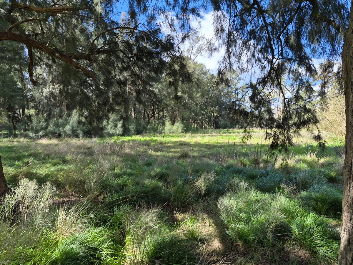 Terreno en venta