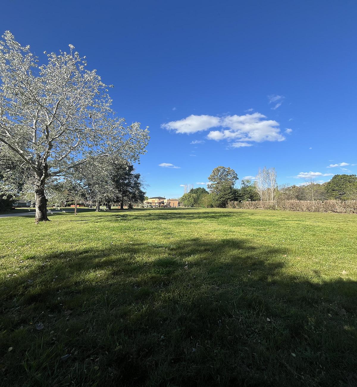 Lote en venta