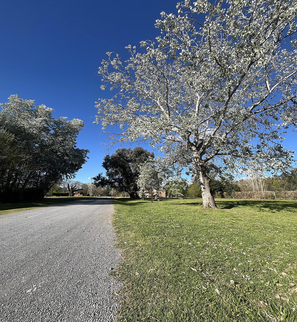 Lote en venta