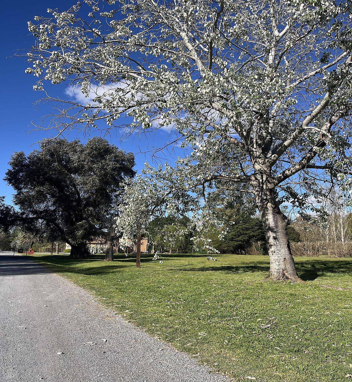 Lote en venta