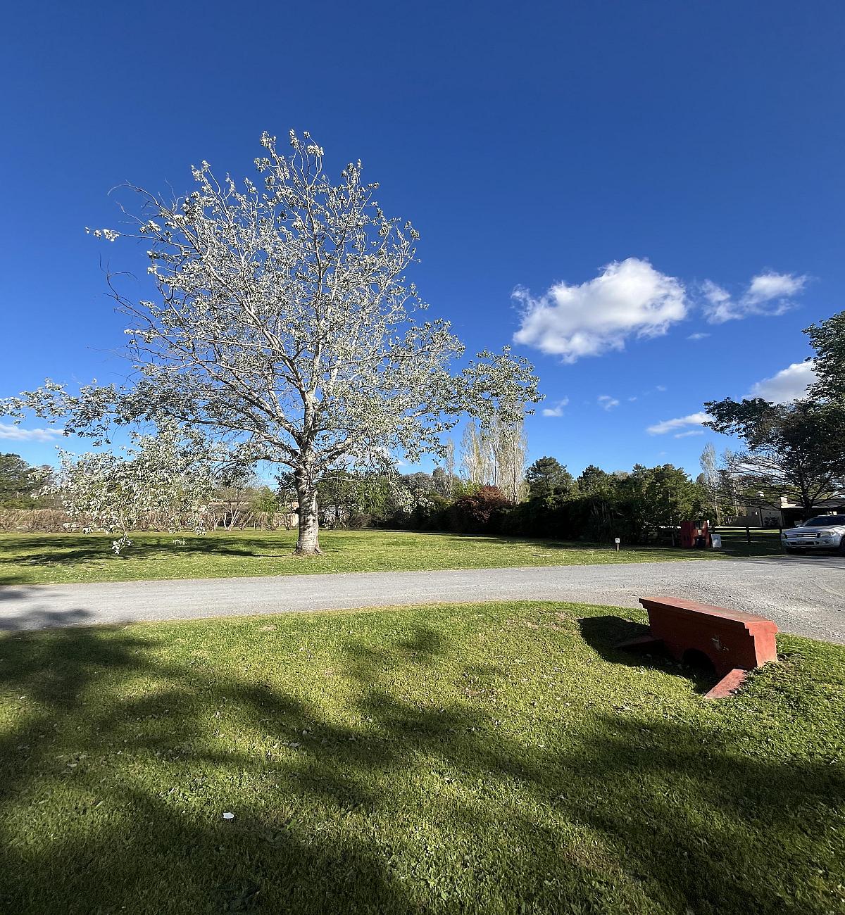 Lote en venta