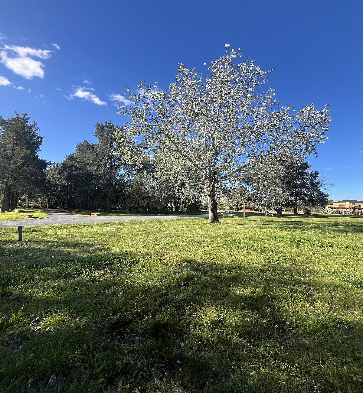 Lote en venta