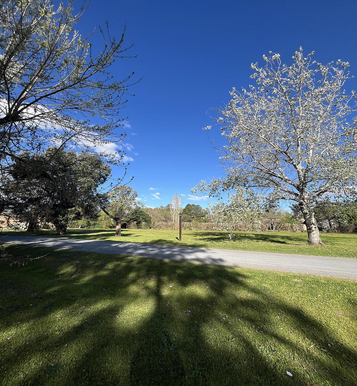 Lote en venta
