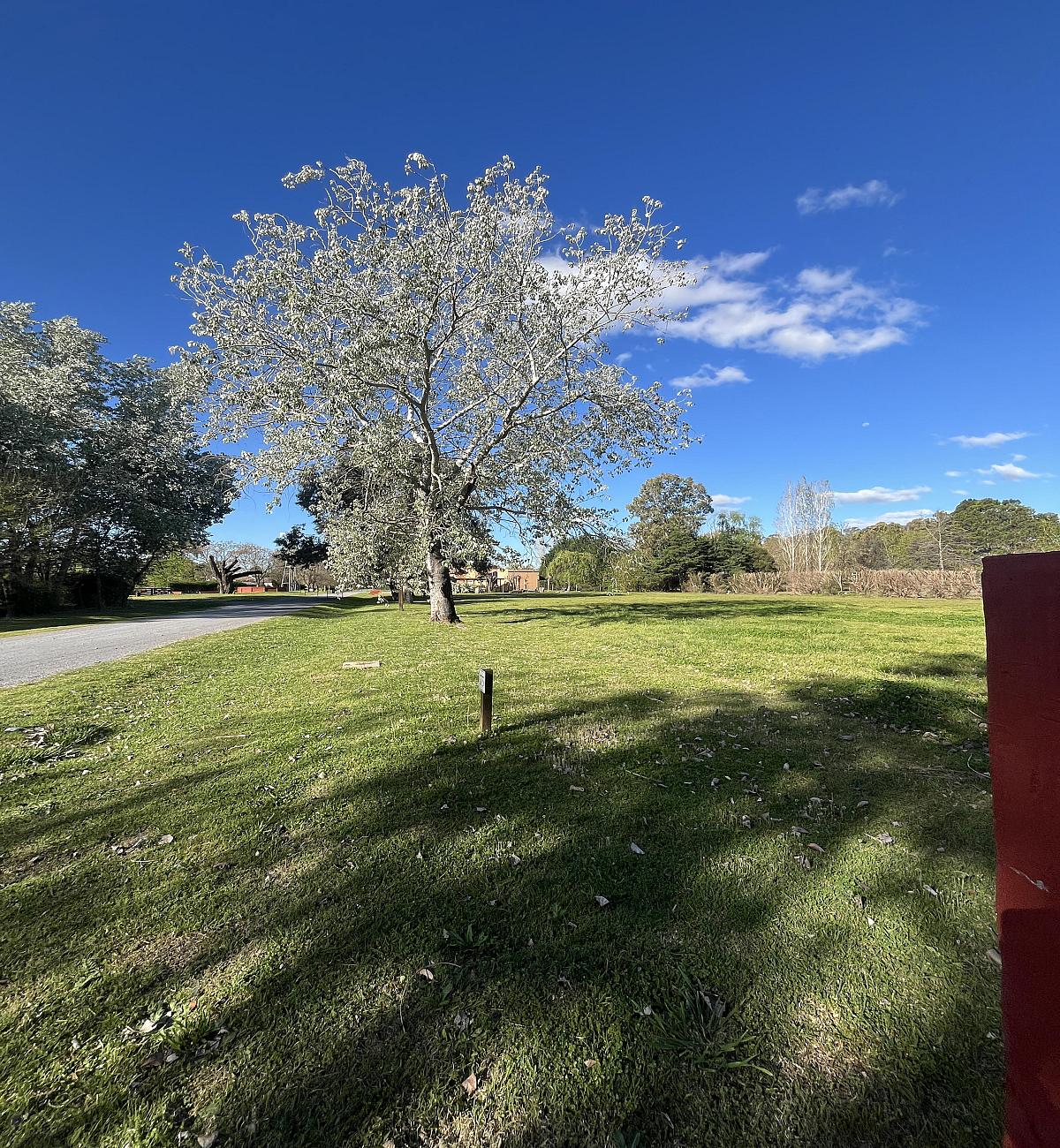 Lote en venta