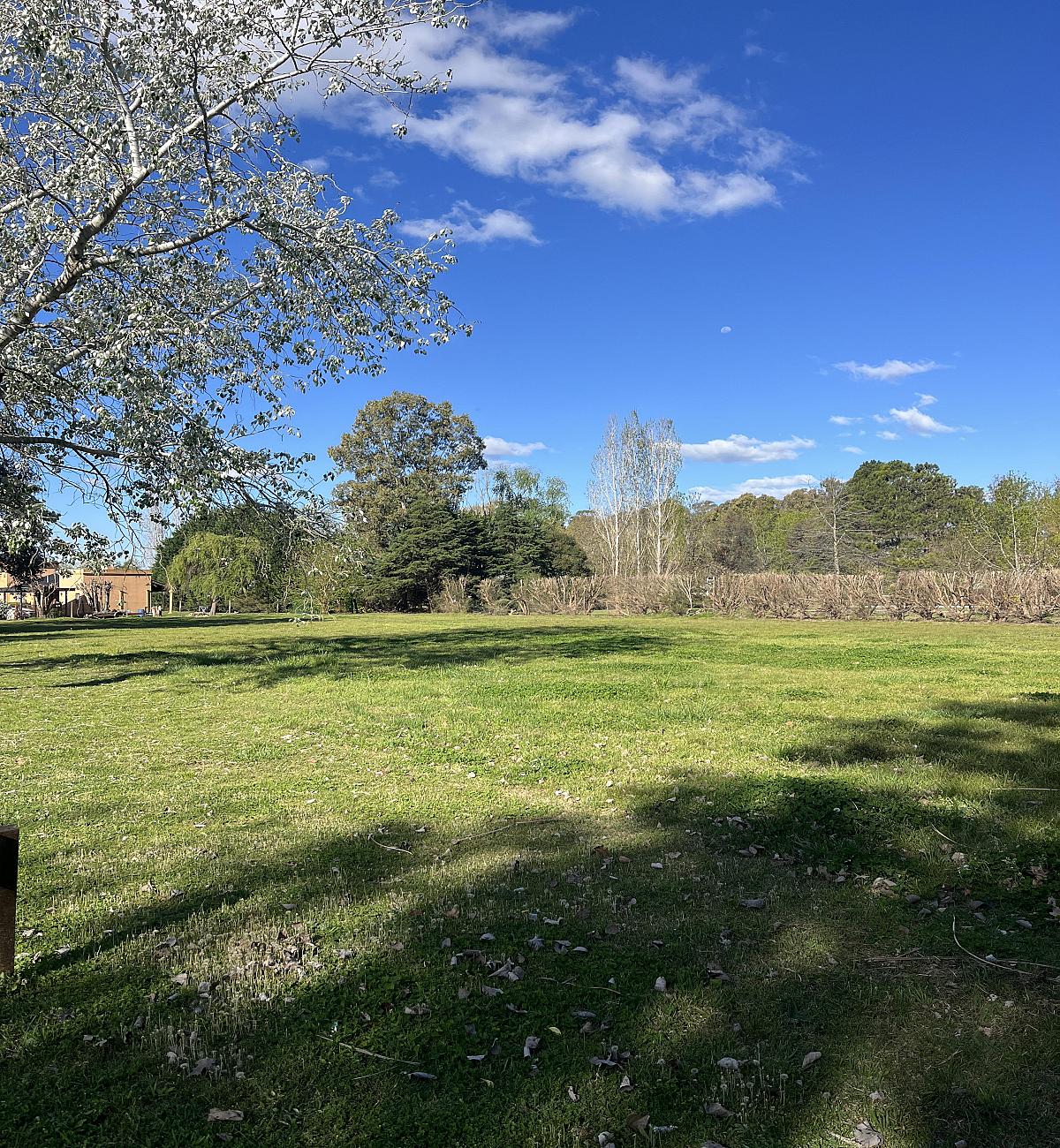 Lote en venta
