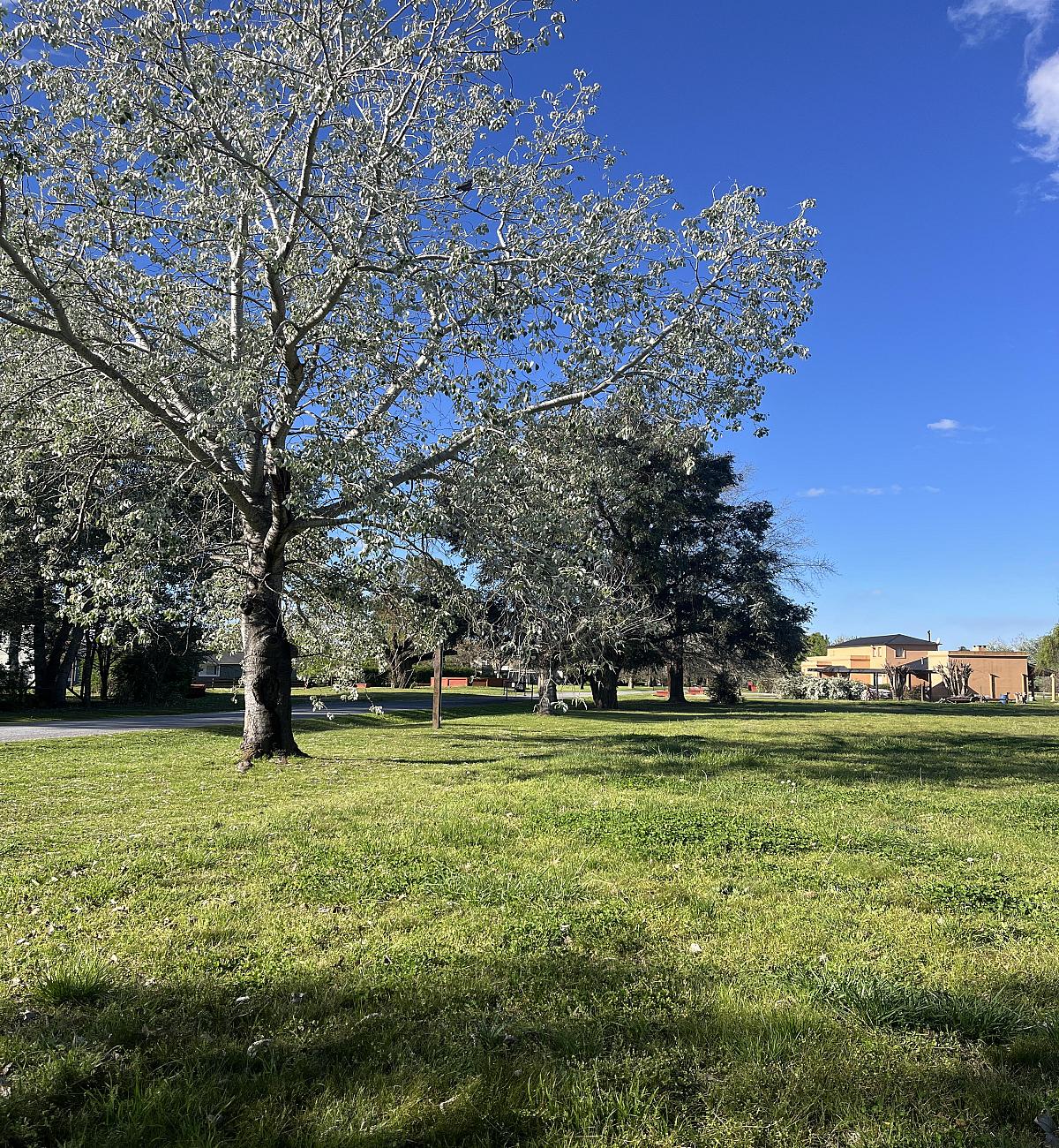 Lote en venta