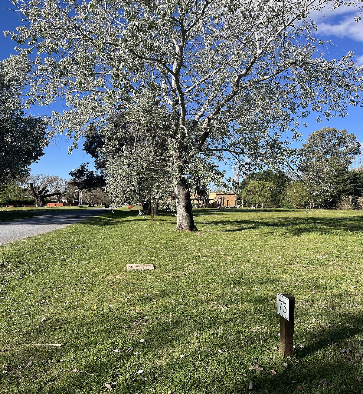 Lote en venta
