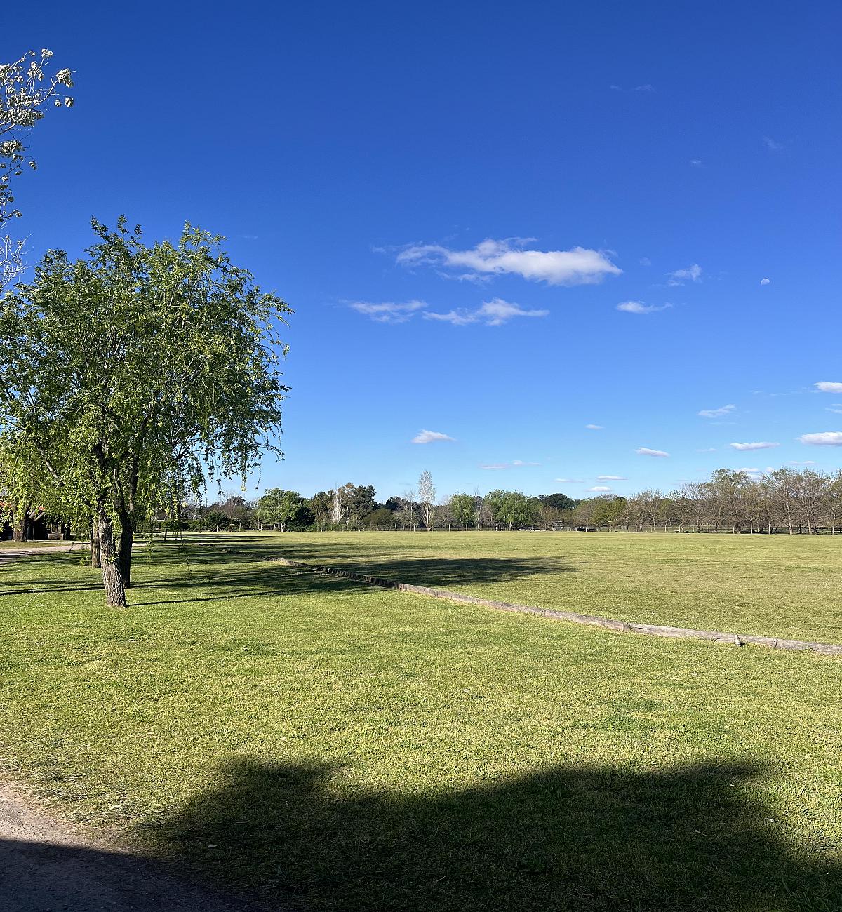 Lote en venta