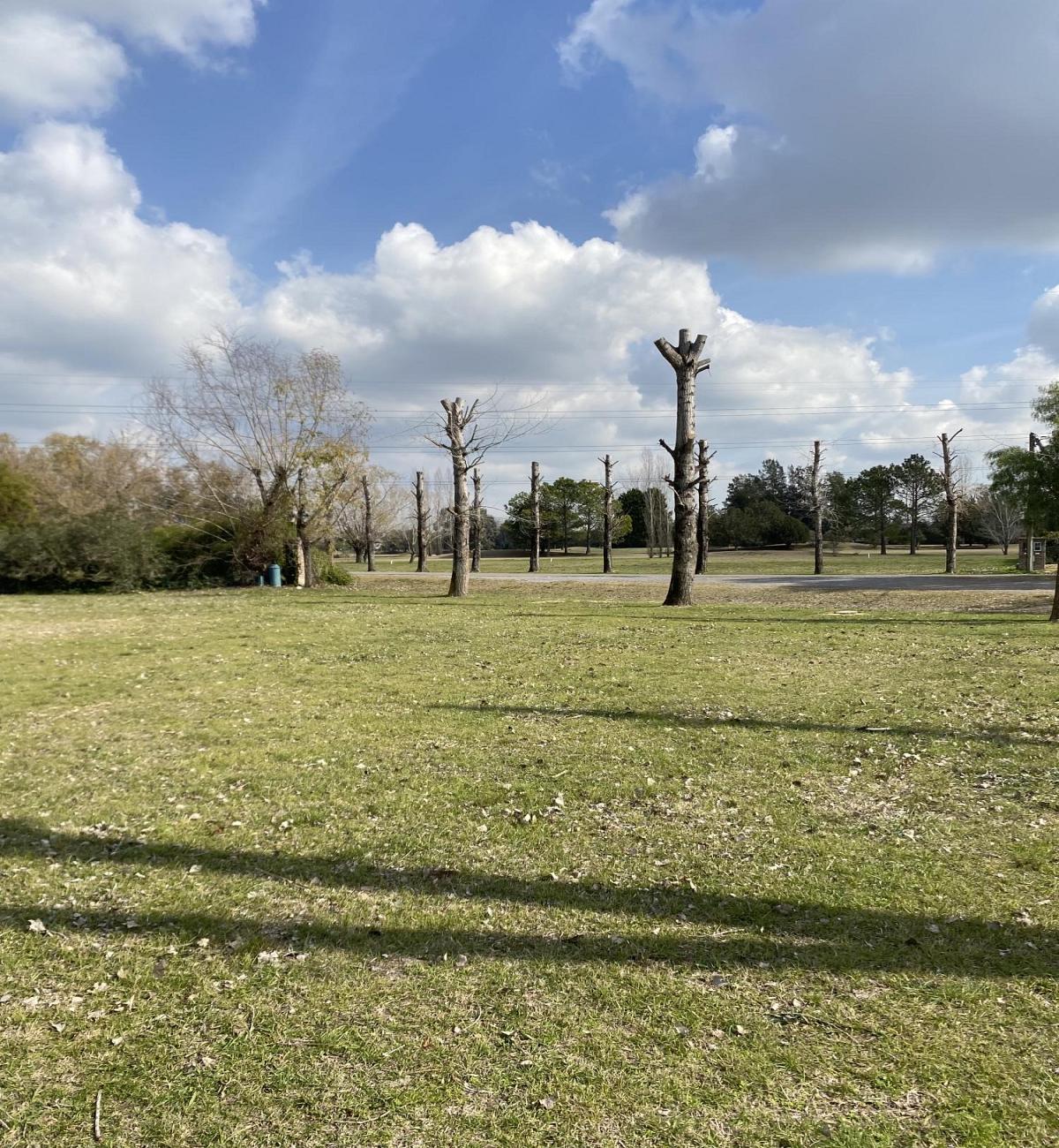 Lote en venta