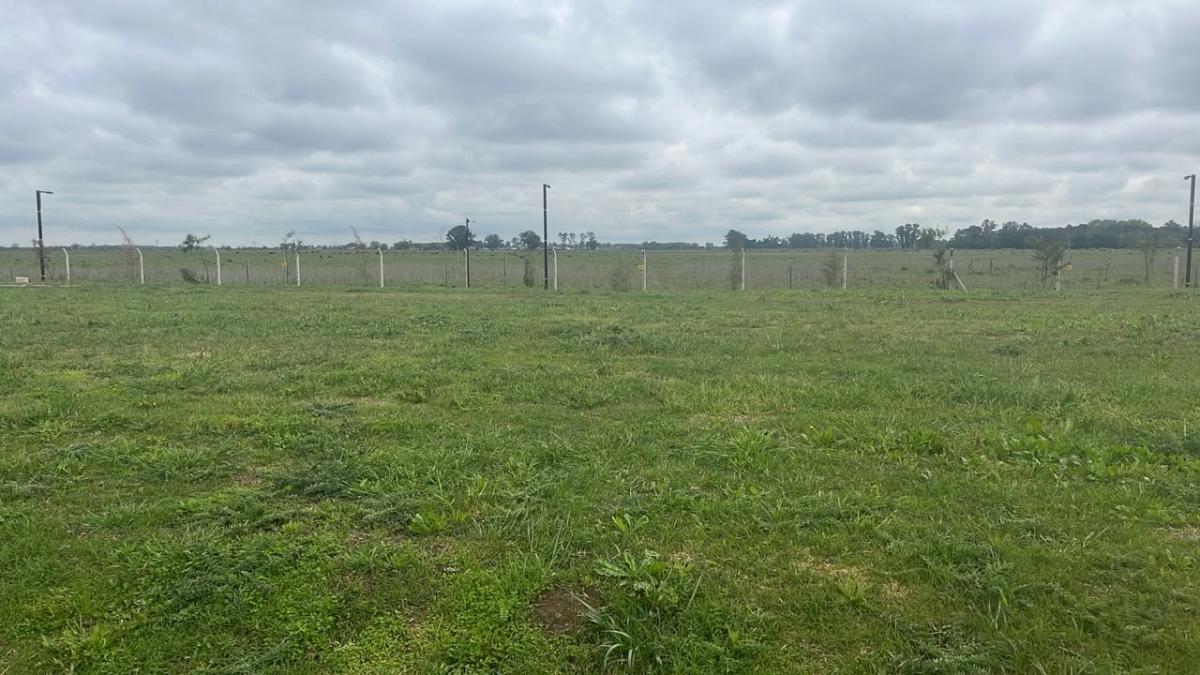 Lote en venta
