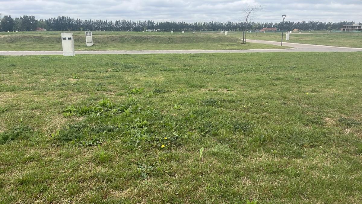 Lote en venta
