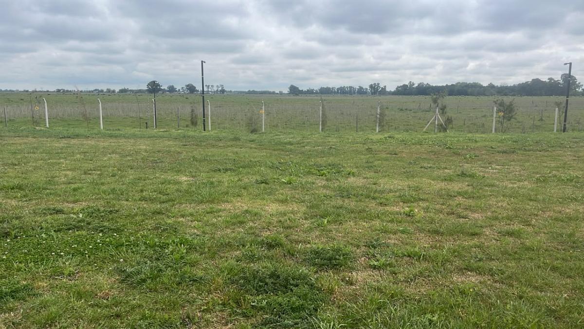 Lote en venta