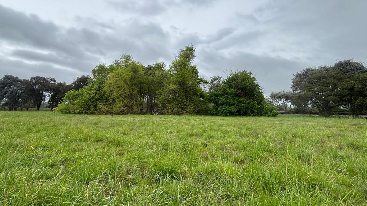 Lote en venta