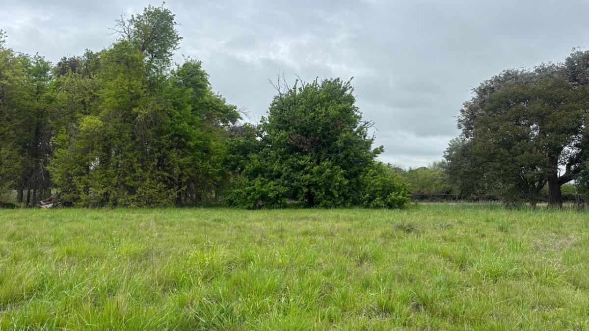 Lote en venta