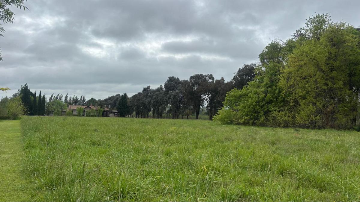 Lote en venta