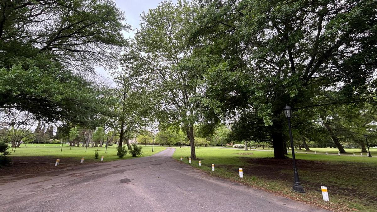Terreno en venta