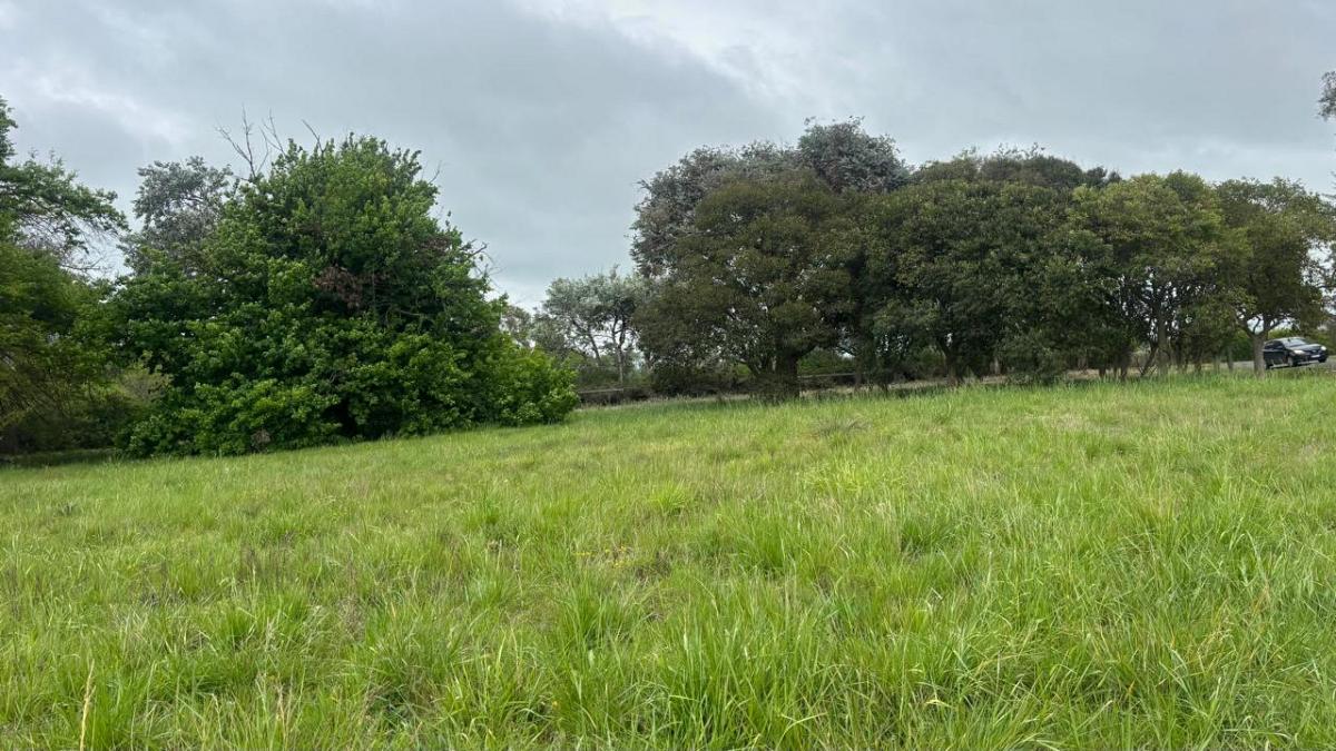 Terreno en venta