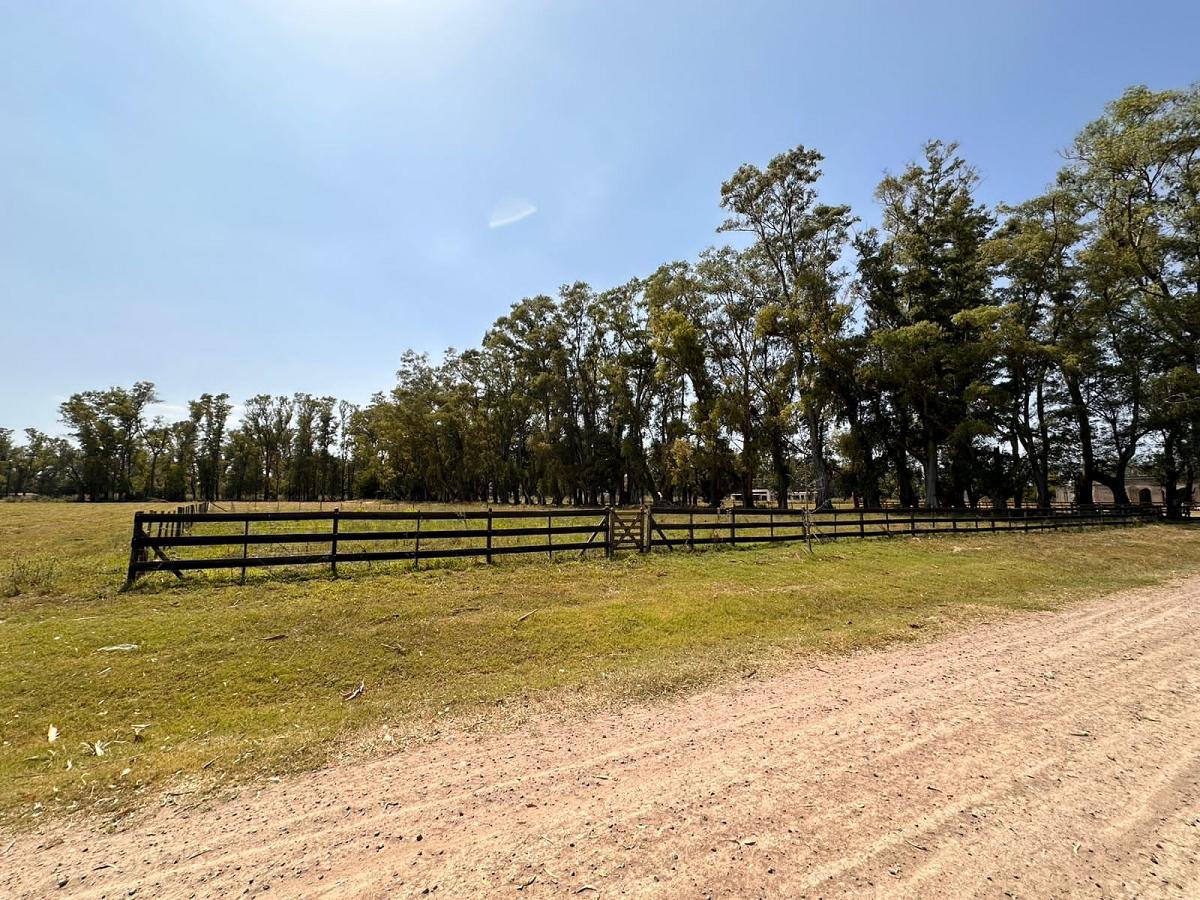 Lote en venta