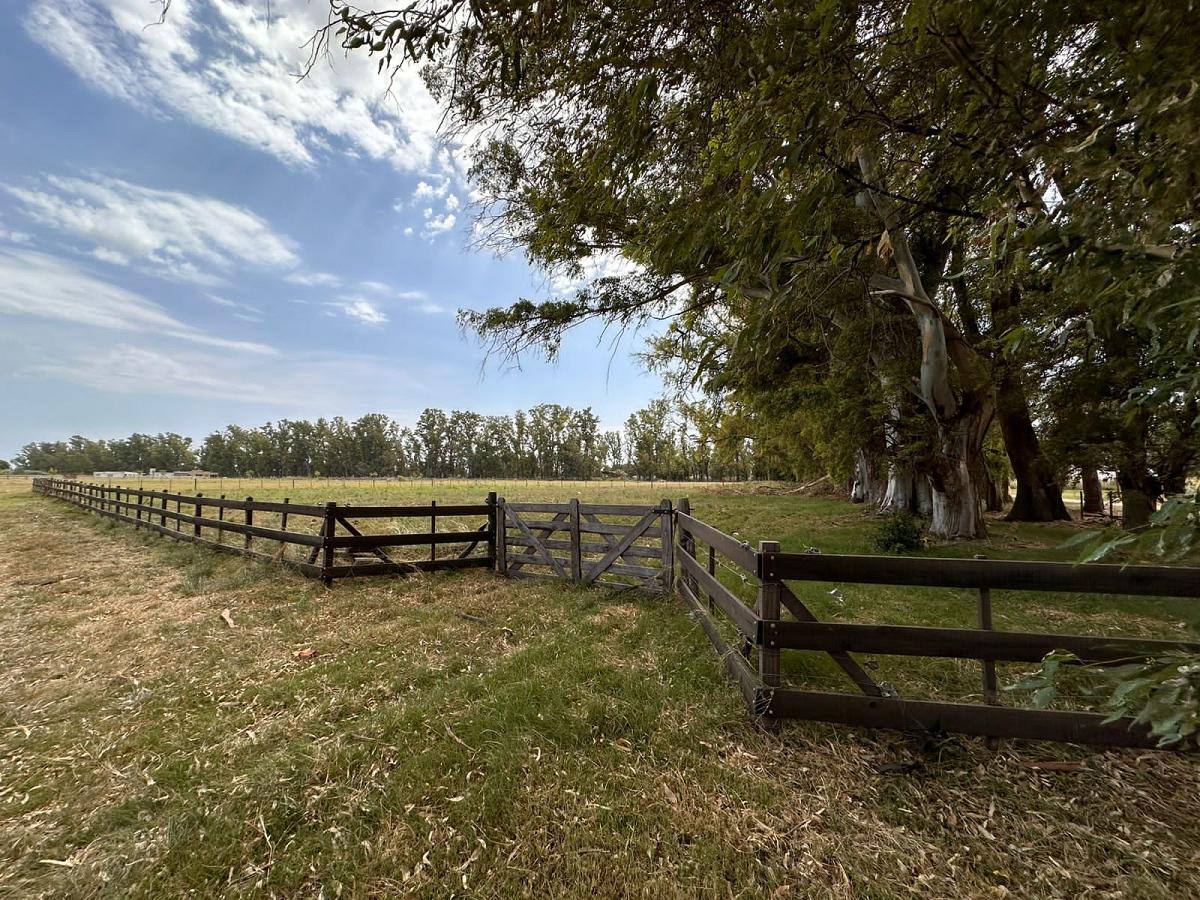 Lote en venta