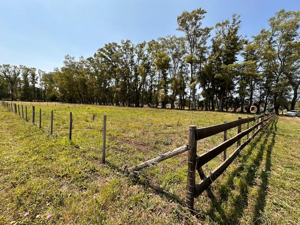 Lote en venta